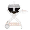 Cuve Barbecue Ascona 570 (avant 2014) - Outdoorchef 1 Cuve Barbecue Ascona 570 (avant 2014) - Outdoorchef -Barbecue Boutique cuve ascona 570 avant 2014 2020000023395