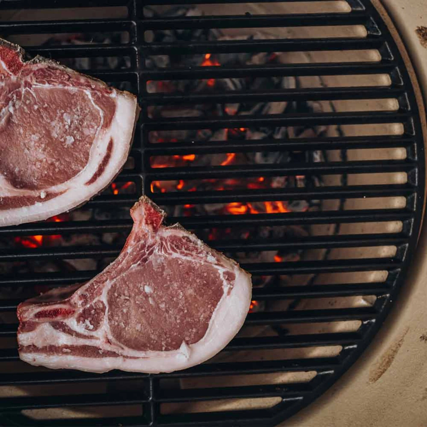 Grille En Fonte Pour Barbecue JUNIOR - Monolith* 6 Grille En Fonte Pour Barbecue JUNIOR - Monolith* – Image 4